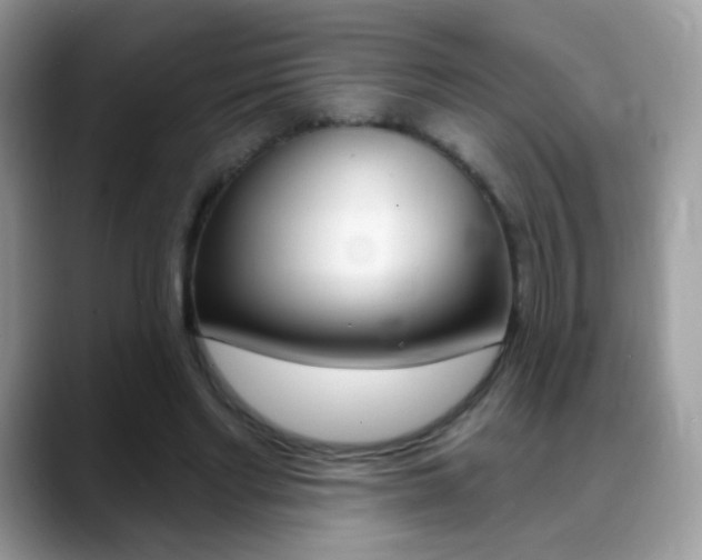X0000088900493200706080829