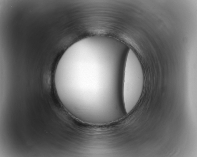 X0000088900494200706080829