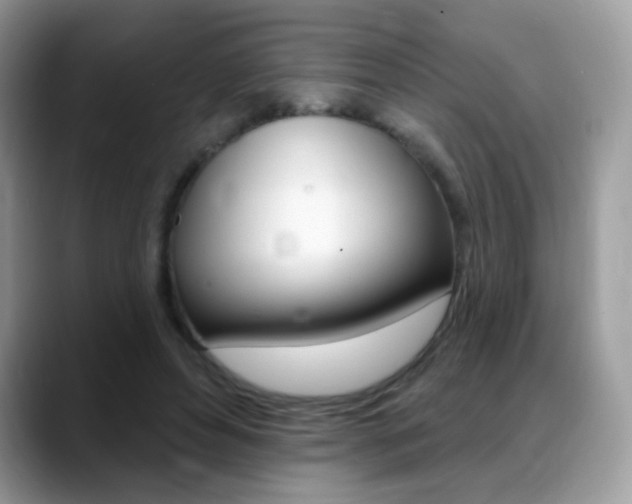 X0000088900496200706080829