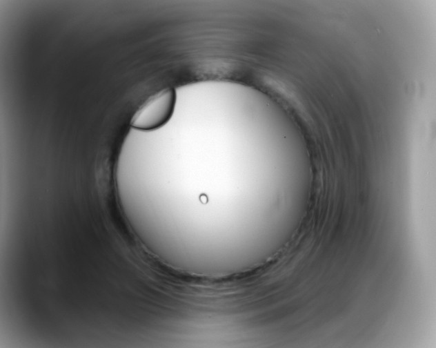 X0000088900498200706080829