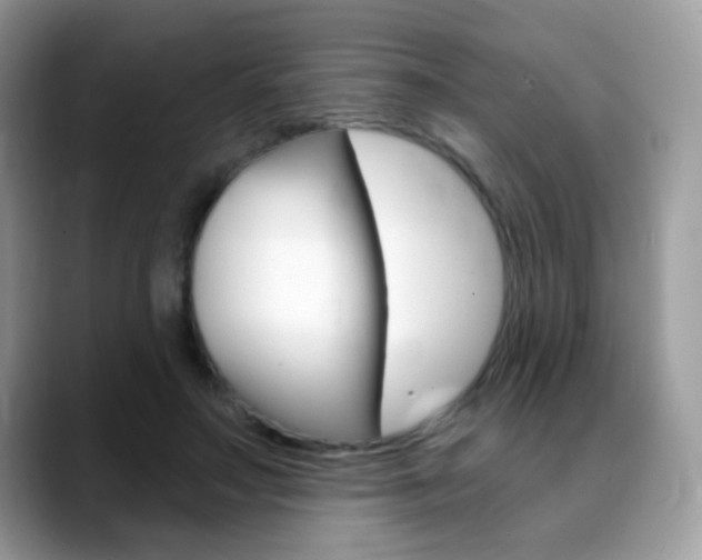 X0000088900499200706080829