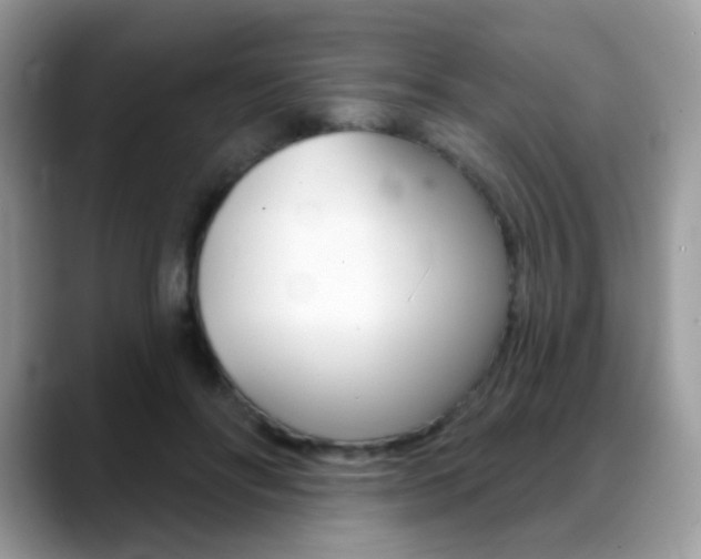 X0000088900502200706080829