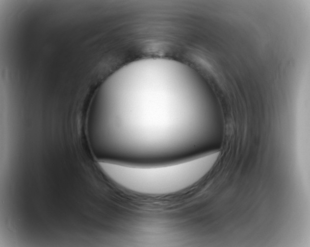 X0000088900504200706080829