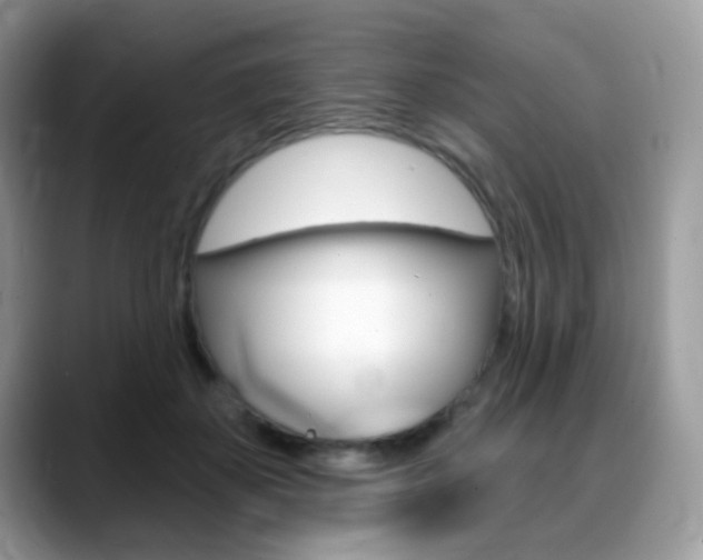 X0000088900507200706080829