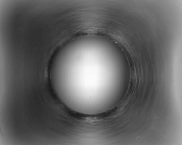 X0000088900508200706080829