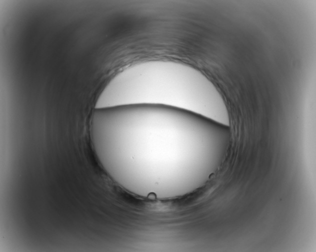 X0000088900511200706080829