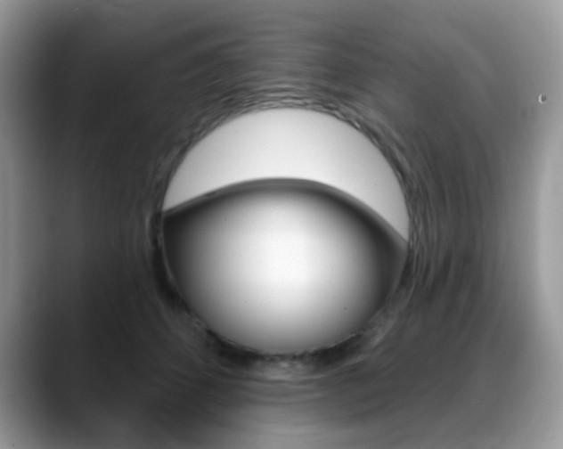 X0000088900512200706080829