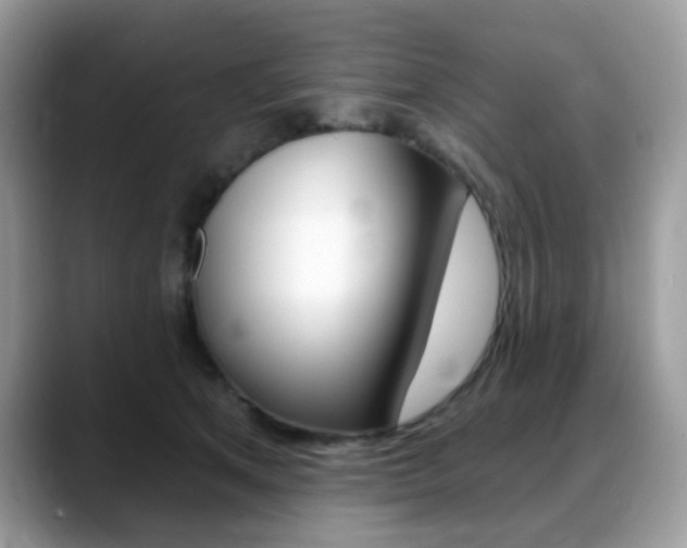 X0000088900513200706080829