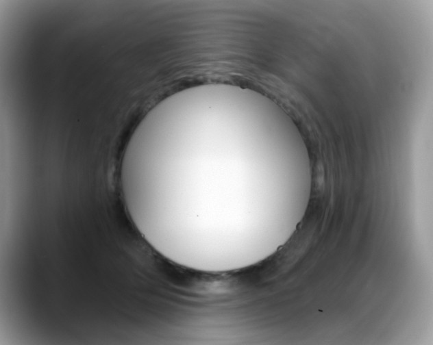 X0000088900514200706080829