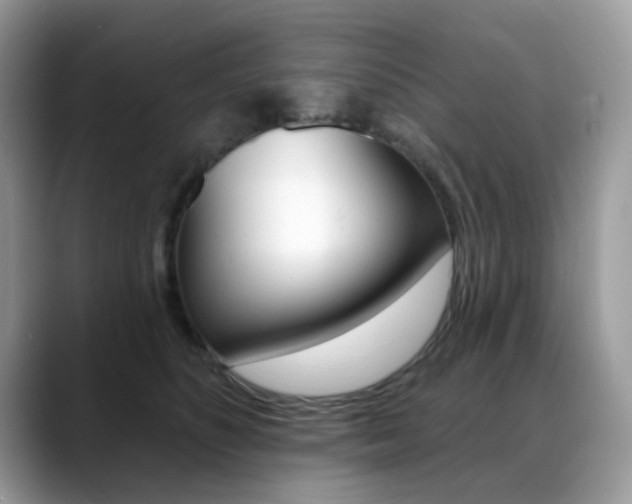 X0000088900516200706080829