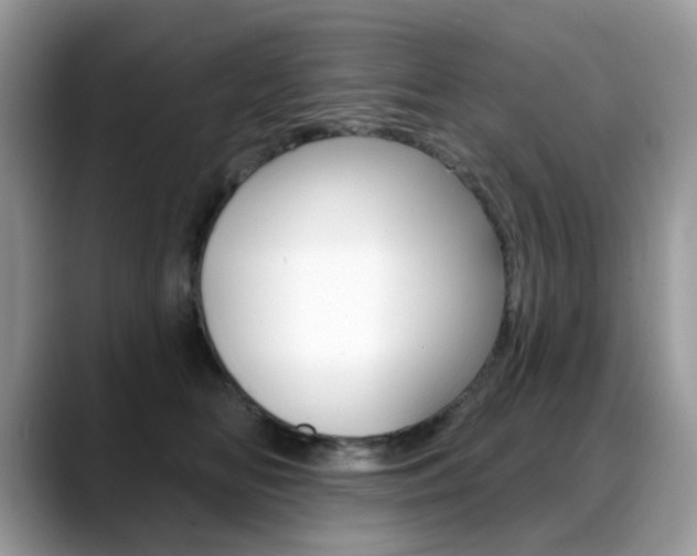 X0000088900518200706080829