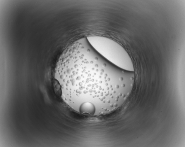 X0000088900519200706080829