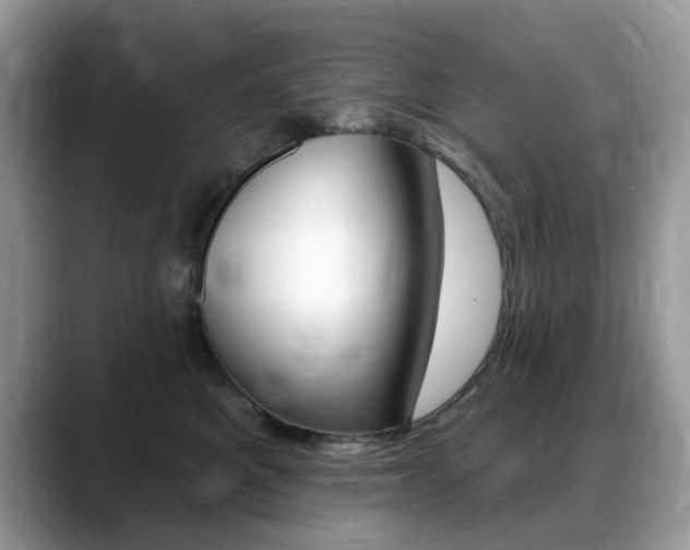X0000088900521200706080829