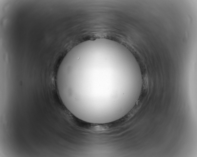 X0000088900522200706080829