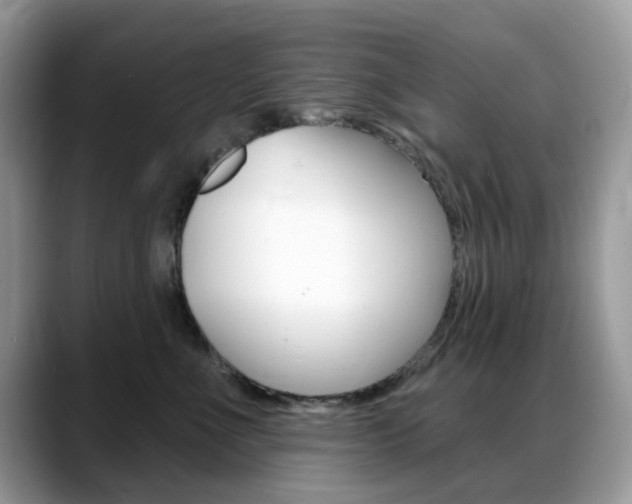 X0000088900523200706080829