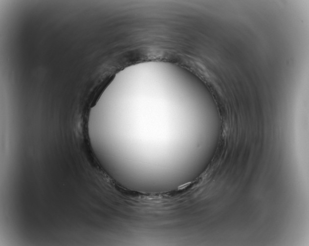 X0000088900524200706080829