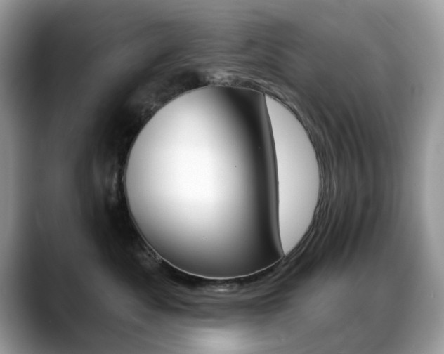X0000088900525200706080829