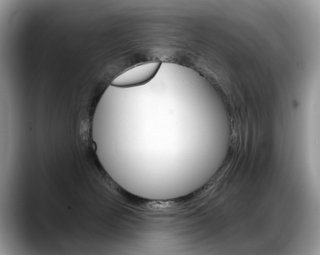 X0000088900526200706080829