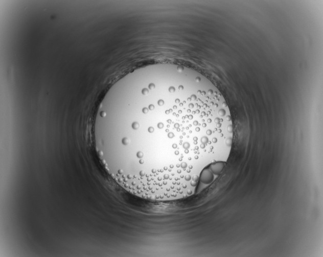 X0000088900527200706080829