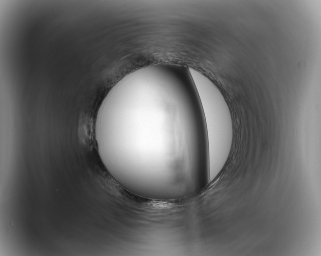 X0000088900528200706080829