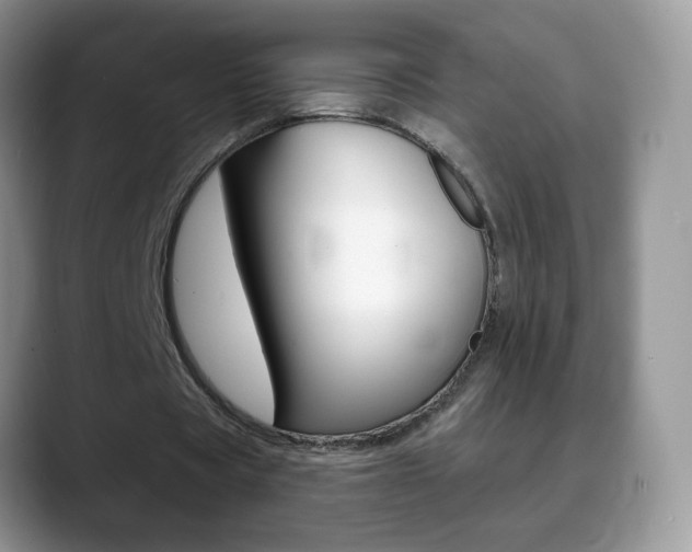 X0000088900529200706080828