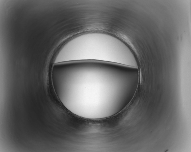X0000088900531200706080828