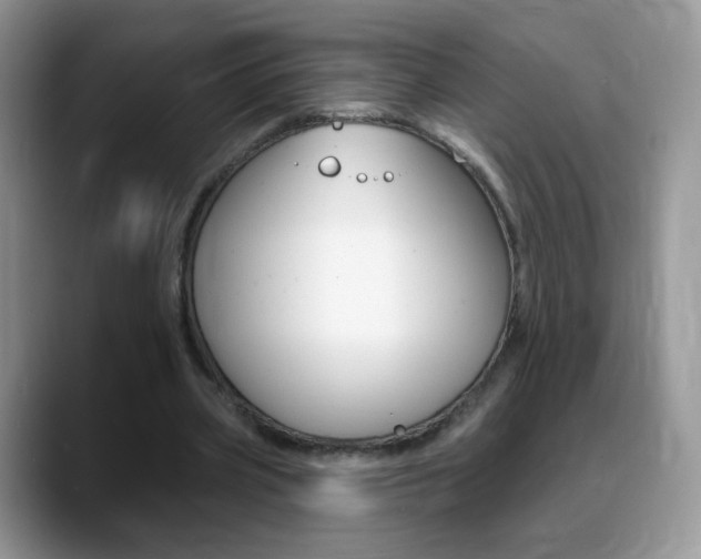 X0000088900533200706080828