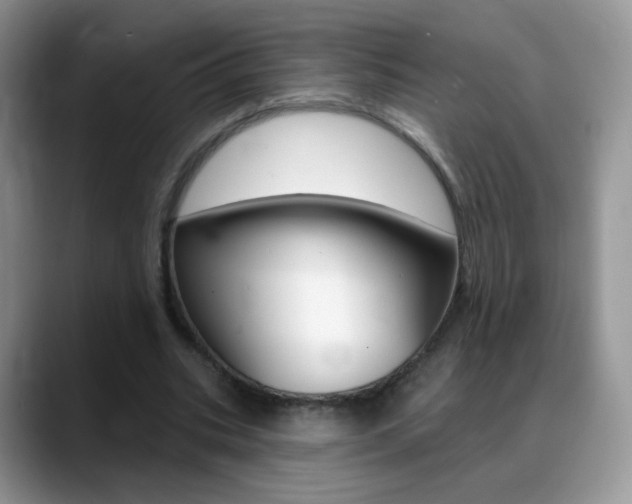 X0000088900535200706080828