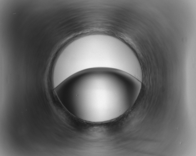 X0000088900536200706080828