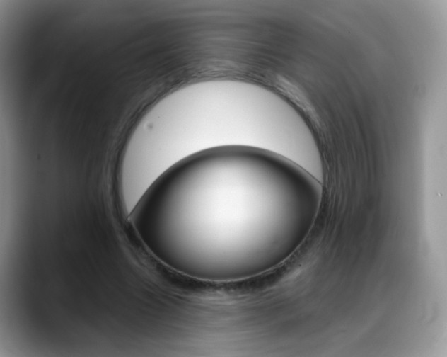X0000088900538200706080828