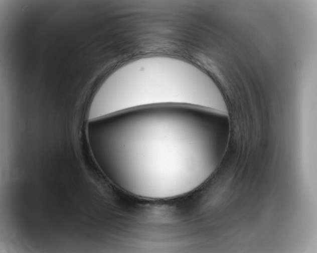 X0000088900539200706080828