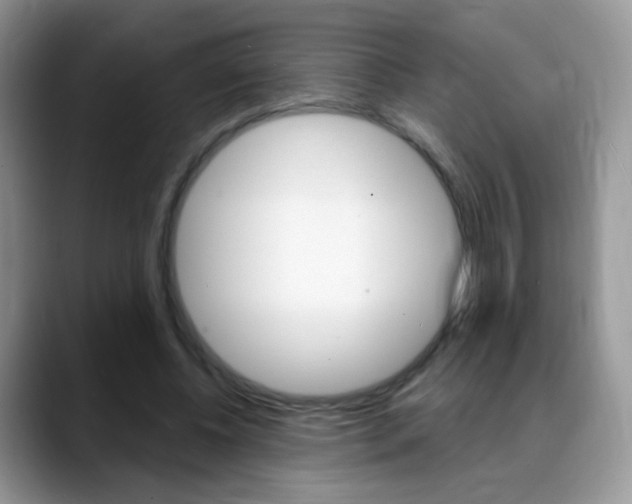 X0000088900540200706080828