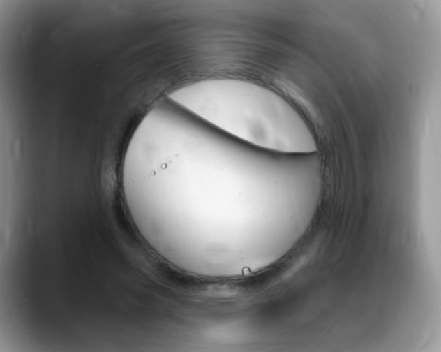 X0000088900541200706080828