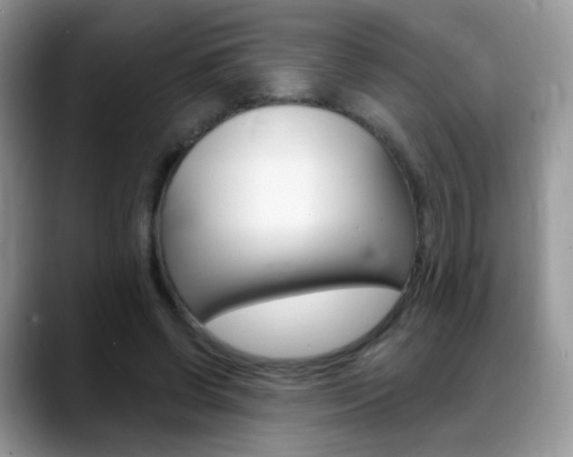 X0000088900542200706080828
