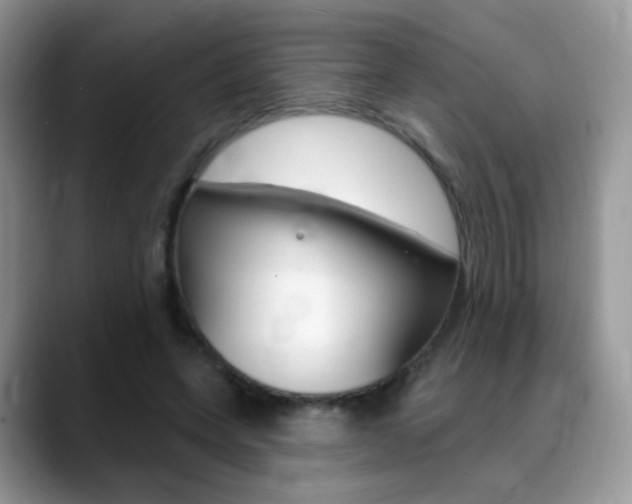 X0000088900543200706080828