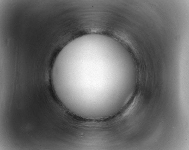 X0000088900545200706080828