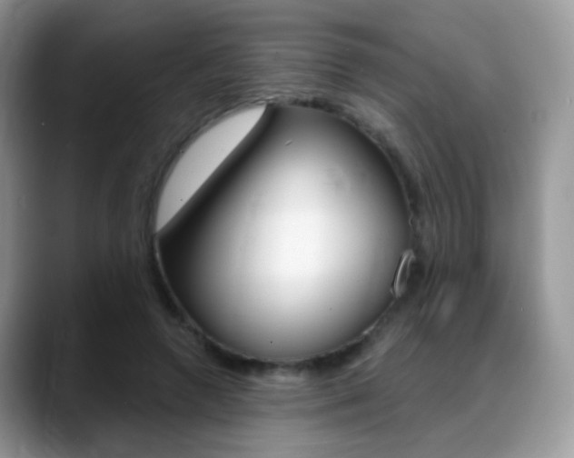 X0000088900546200706080828