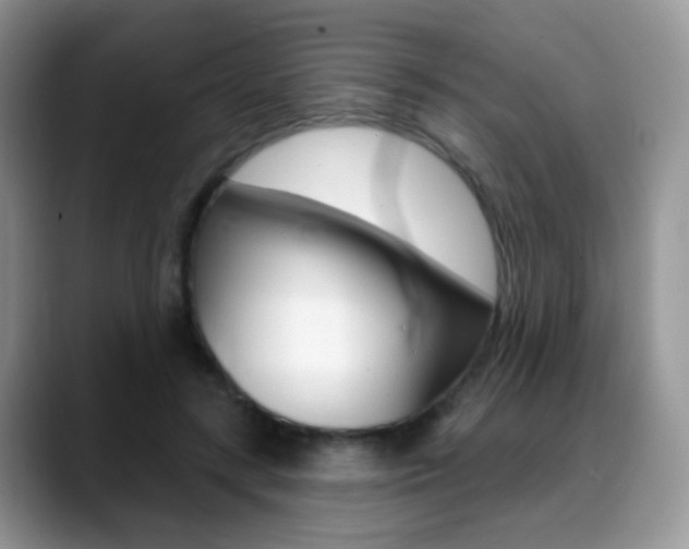 X0000088900547200706080828