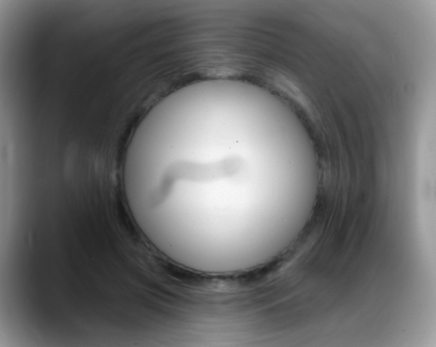 X0000088900549200706080829
