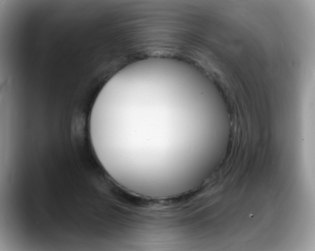 X0000088900550200706080829