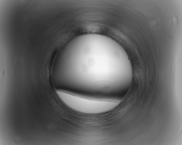 X0000088900551200706080829