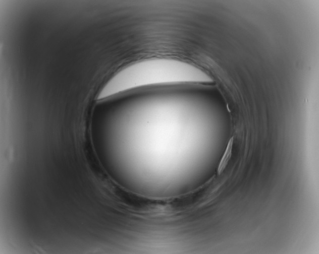 X0000088900552200706080829