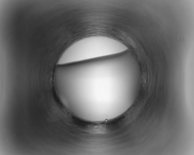 X0000088900553200706080829