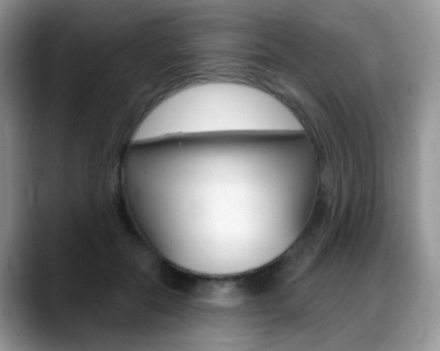 X0000088900554200706080829