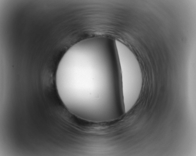 X0000088900555200706080829