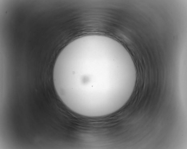 X0000088900556200706080829