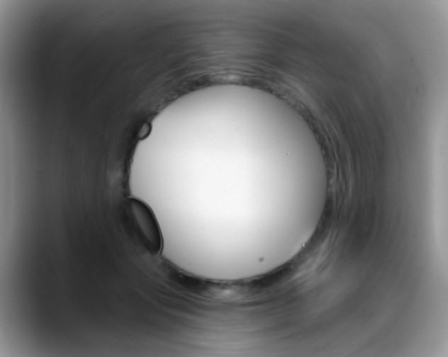 X0000088900557200706080829