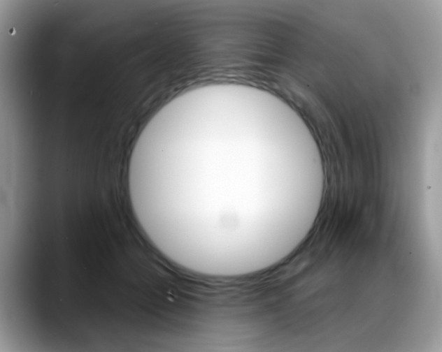 X0000088900558200706080829