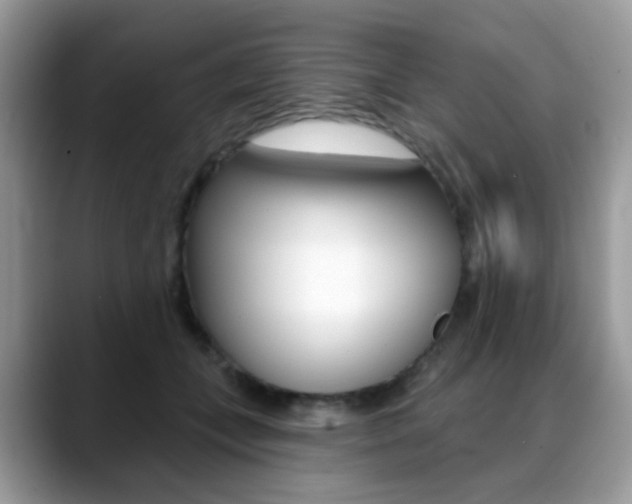 X0000088900559200706080829