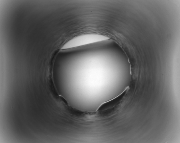 X0000088900560200706080829